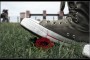 Crushed_Rose