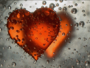 Orange-Hearts