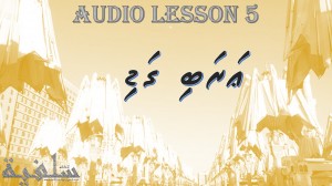 Audio Lesson 5